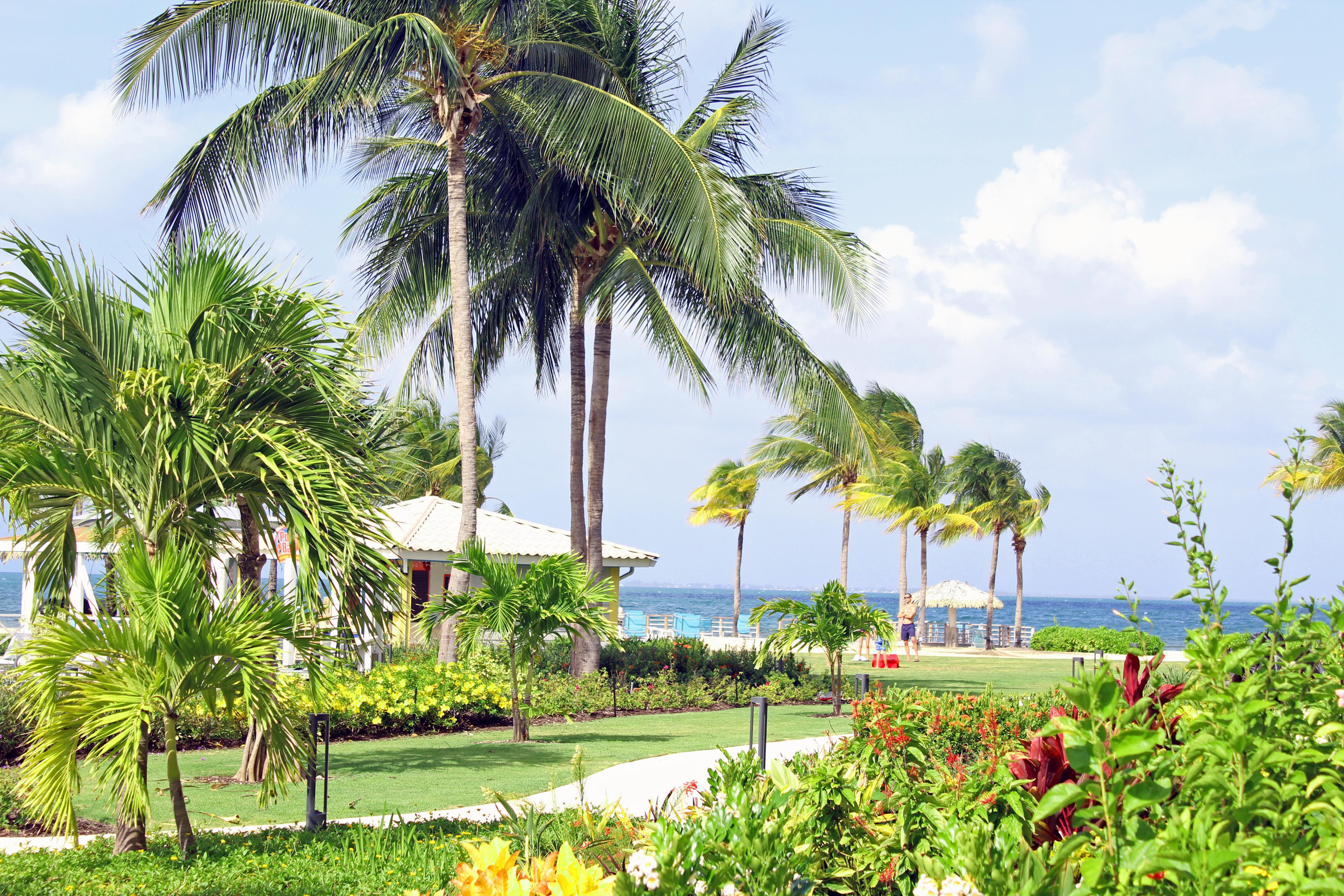 The Grand Caymanian Resort George Town Buitenkant foto