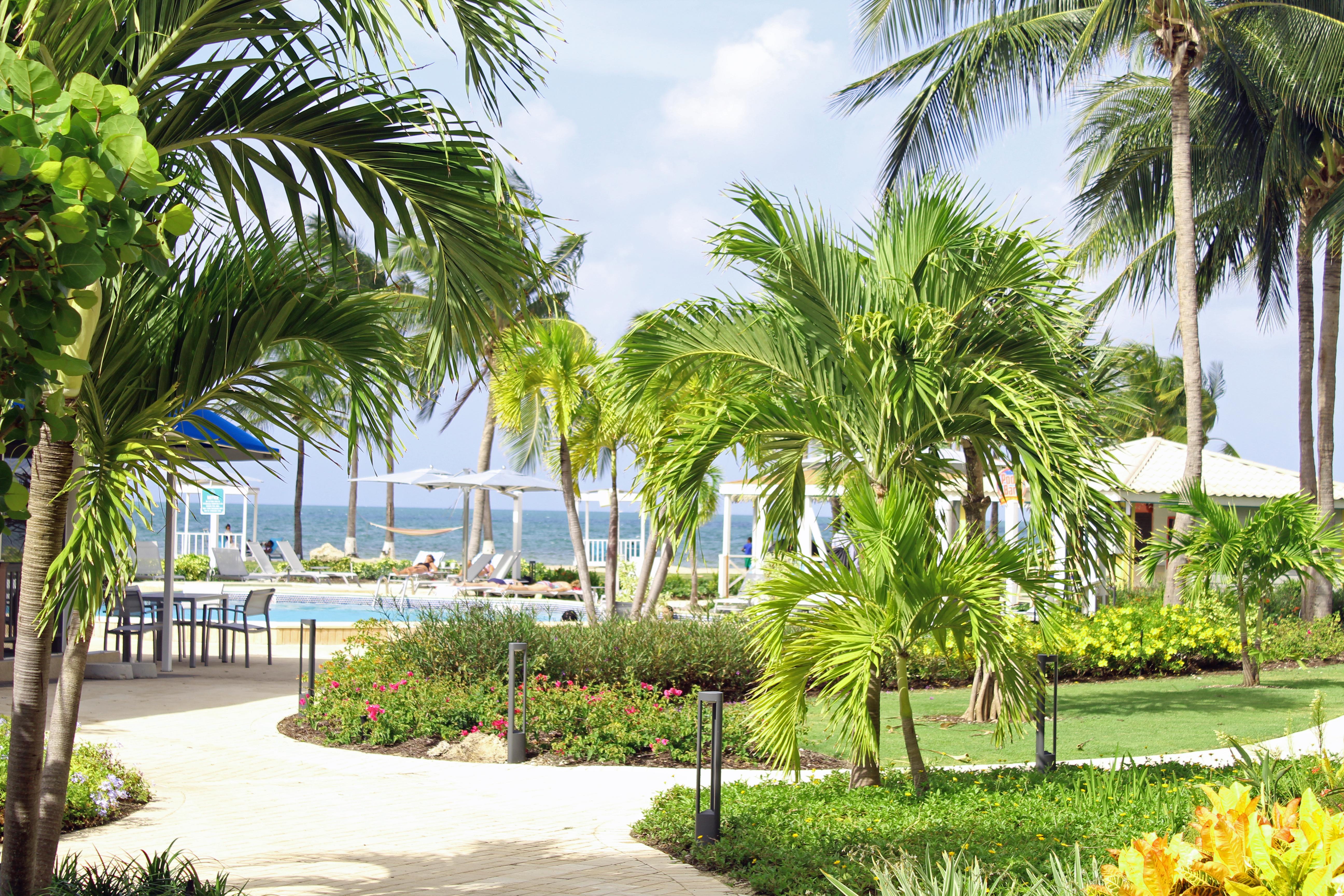 The Grand Caymanian Resort George Town Buitenkant foto